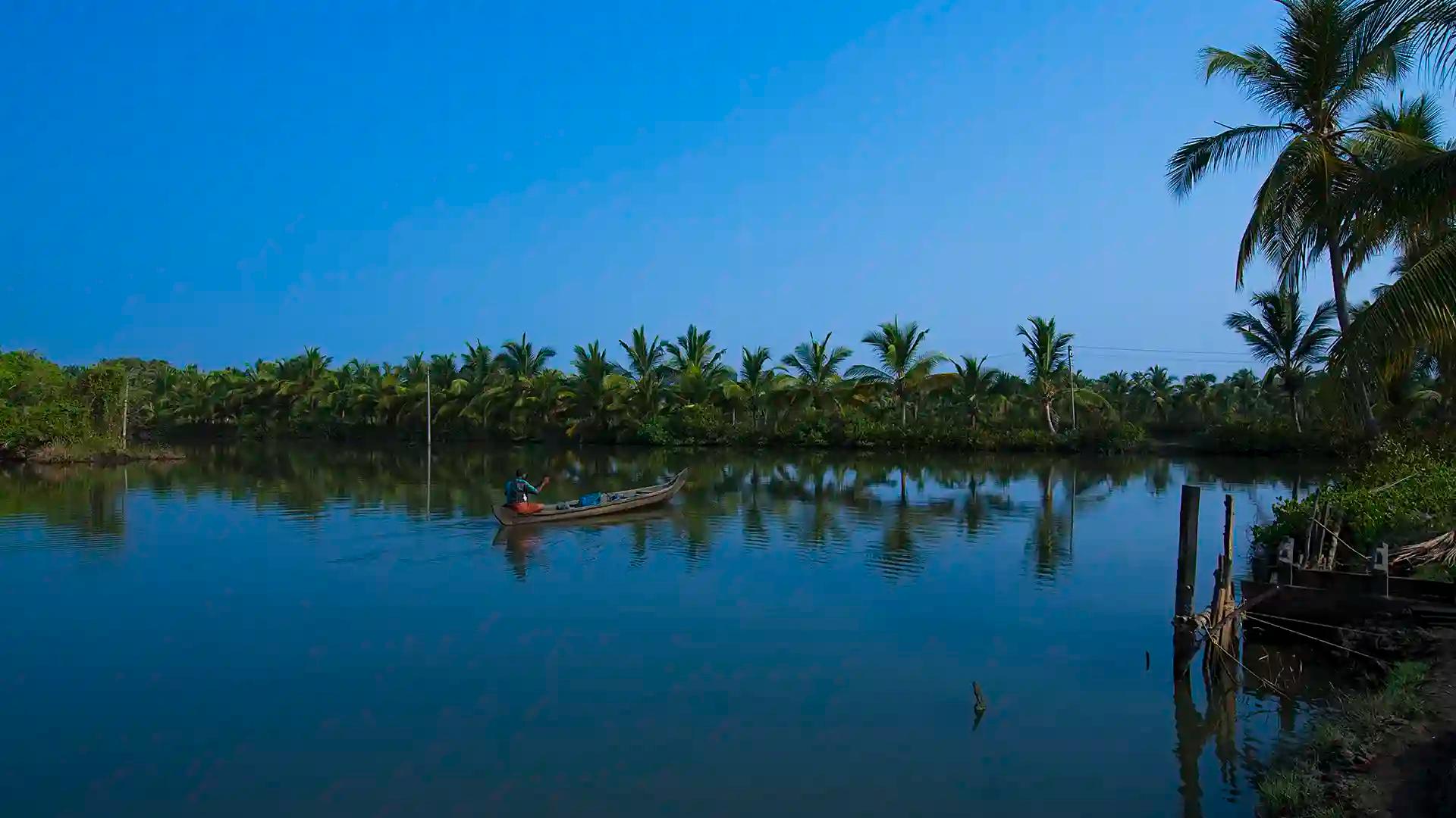 Palm-lined Alappuzha backwaters