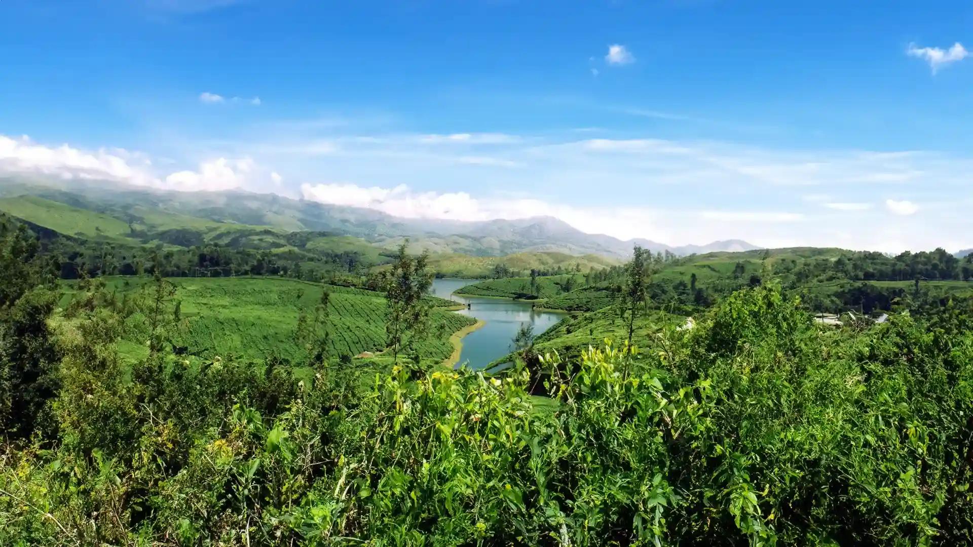 Green hills and a reservoir in the Munnar landscape, Kerala
